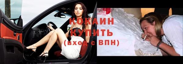 мдпв Богородицк