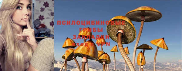 марки lsd Богданович