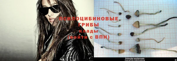 мескалин Богородск