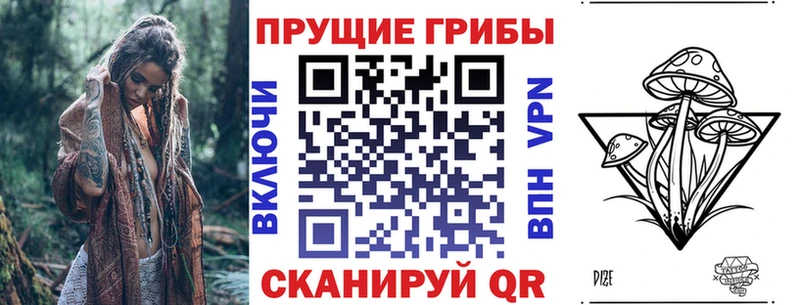 Купить  Великие Луки  Псилоцибиновые грибы MAGIC MUSHROOMS 